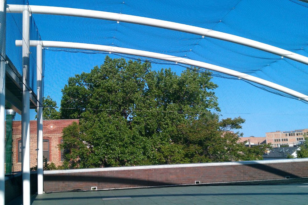 safety netting for schools